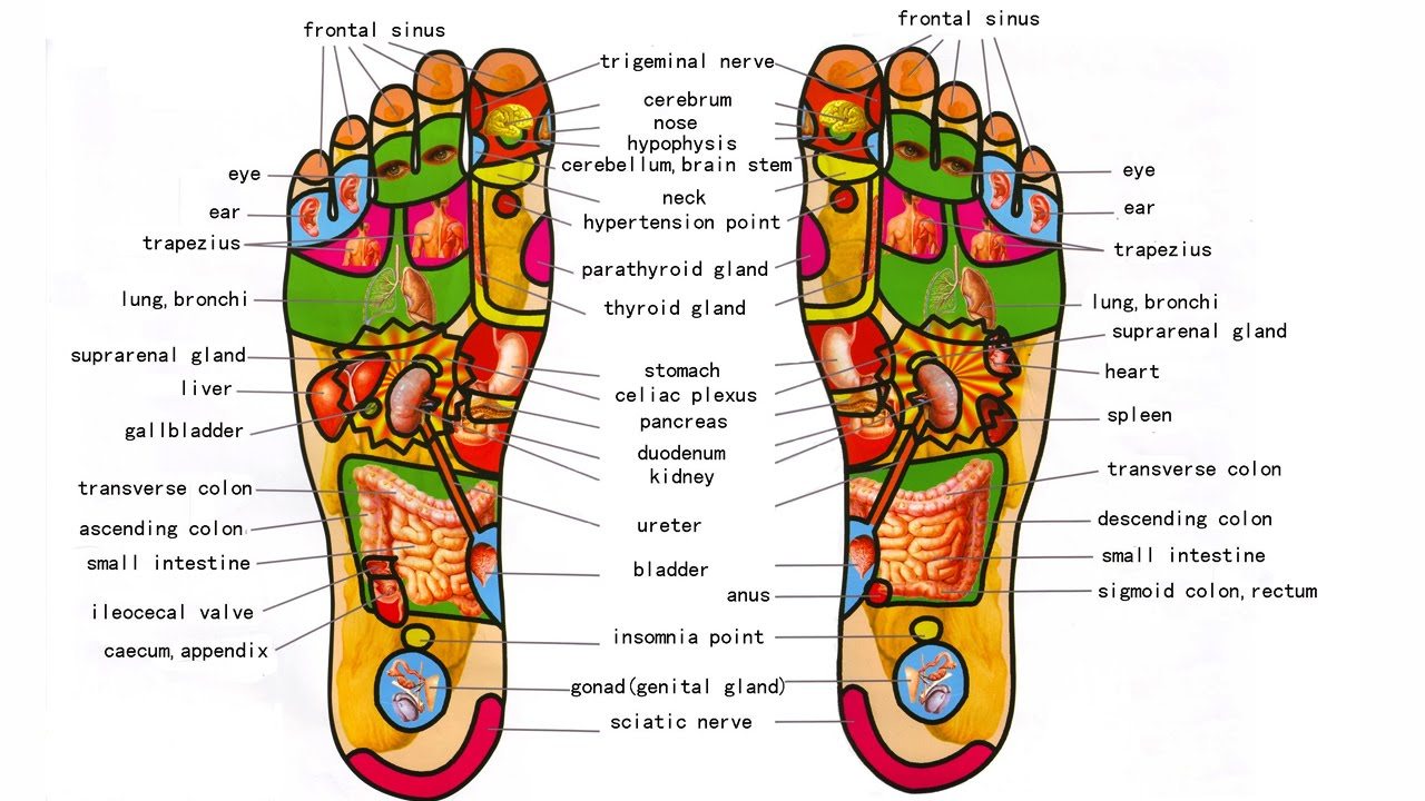 foot reflexology chart